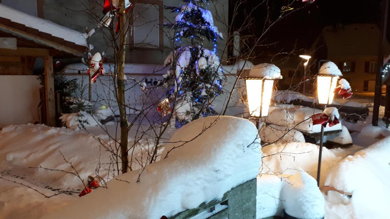 Hotel La Marmotte Gérardmer Kültér fotó